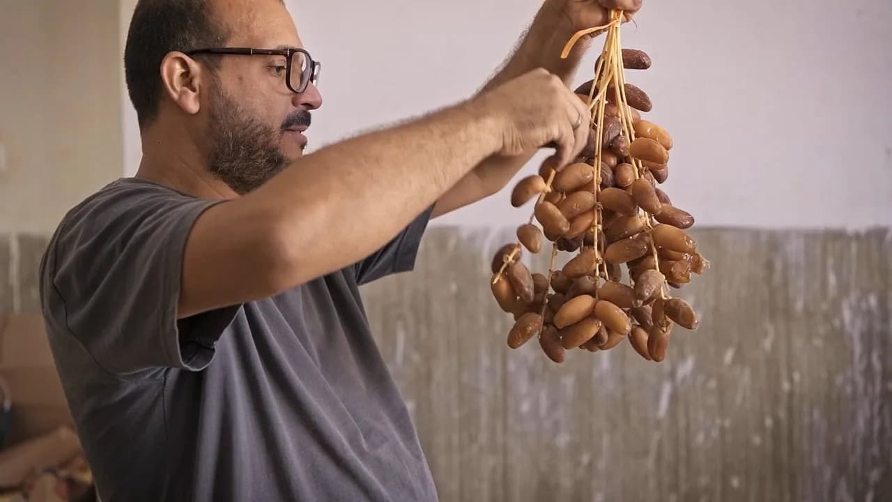 Vorschaubild: Frische Datteln für dich (Video)
